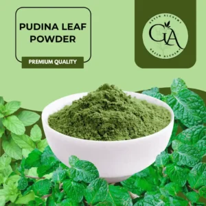 Pudina Leaf Powder