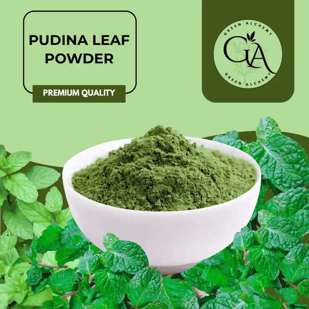 Pudina Leaf Powder